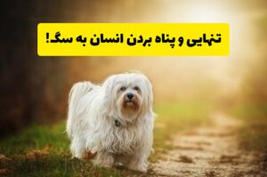 تنهایی و سگ